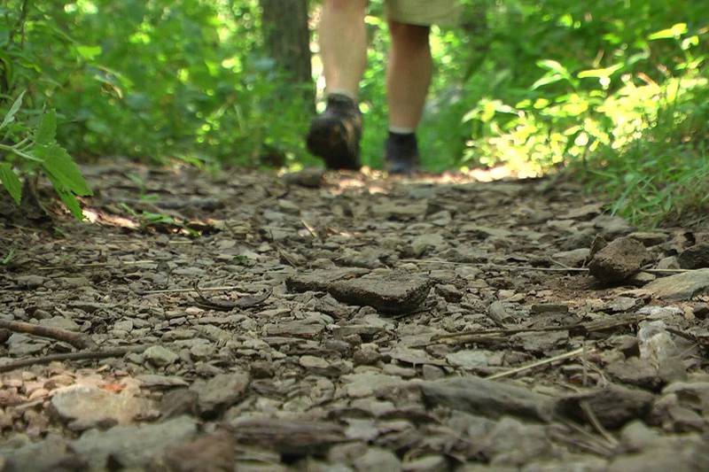 Scared about getting lost in the woods?  There’s a class to help