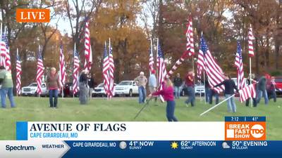 Flags go up at Avenue of Flags for Veterans Day