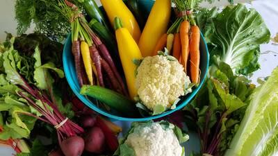 Year in Review: Diners crave healthy options on their plate