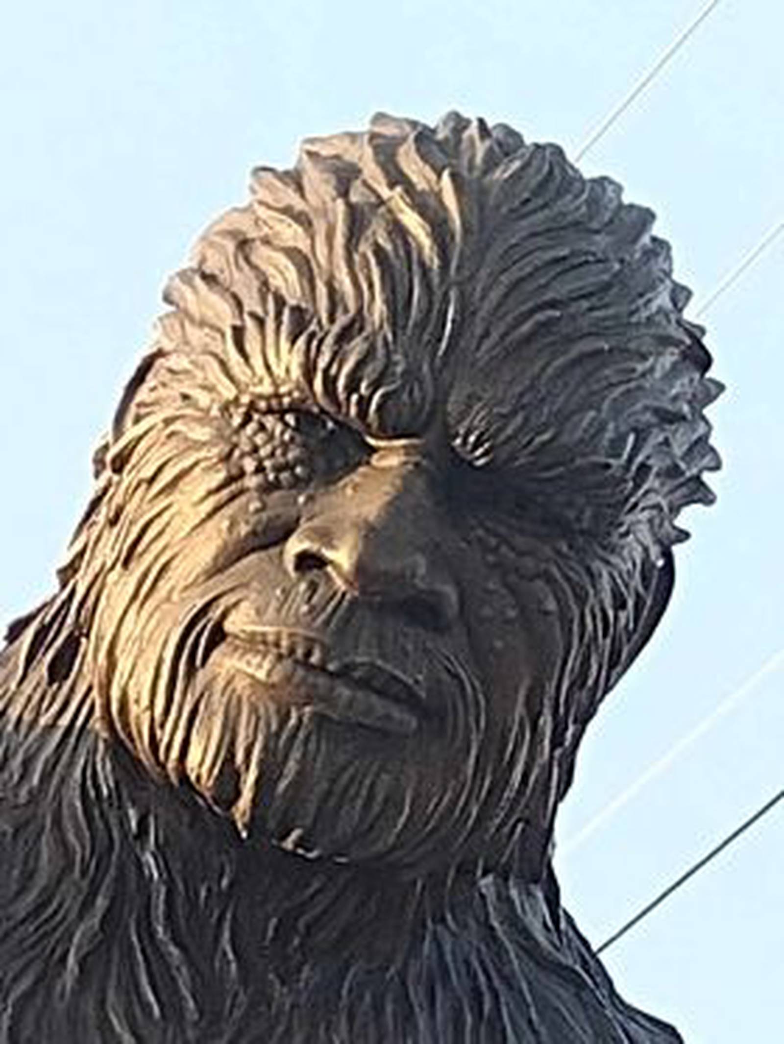 Big Muddy Monster Festival in Murphysboro celebrates 50th year of its