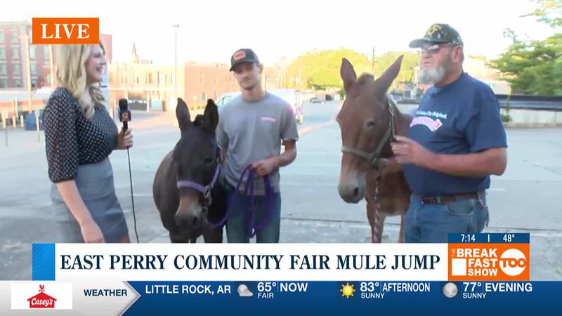 Jumping mules help preview the East Perry Community Fair